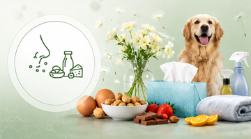 Foods & Inhalants Profile 